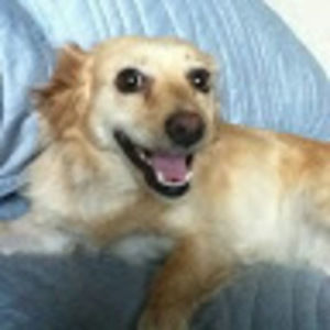 Meet your Posher, Lela